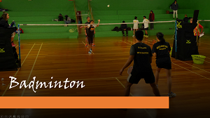 badminton 300 x 110